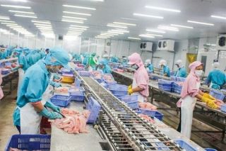 Hỗ trợ doanh nghiệp xuất khẩu thực phẩm sang thị trường Châu Phi
