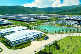 Hệ thống trang trại sinh thái Vinamilk Green Farm đón thêm hơn 1500 bò sữa nhập từ Mỹ