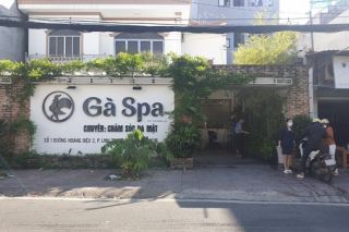 Công ty MQ, Gà Spa và hàng loạt cơ sở làm đẹp khác bị xử phạt hàng trăm triệu đồng