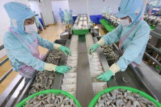 Nhiều triển vọng về tăng trưởng xuất khẩu cả năm 2022