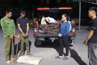 Bắt nhóm 4 người trộm cắp và tiêu thụ cáp trên cao tốc Vân Đồn - Móng Cái