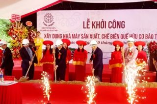 Đầu tư hơn 400 tỷ đồng xây dựng nhà máy chế biến quế hữu cơ tại Lào Cai