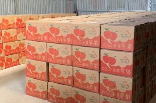 Hà Nội triệt phá đường dây mua bán, tàng trữ 7 tấn pháo nổ