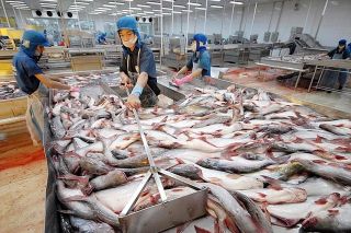 Canada là thị trường tiềm năng cho xuất khẩu thủy sản