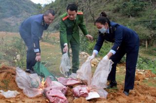 Thu giữ 120kg thịt trâu đông lạnh không rõ nguồn gốc