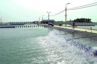 Thanh Hoá phát triển nuôi trồng thủy sản bền vững, thích ứng với biến đổi khí hậu