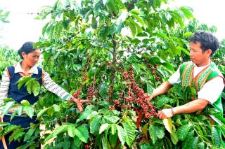Kon Tum: Giao chỉ tiêu giảm nghèo năm 2023
