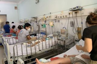 TP. Hồ Chí Minh: Nguy cơ bùng phát dịch sốt xuất huyết và tay chân miệng
