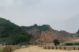 Công ty Quế Sơn bị phạt hành chính hơn 135 triệu đồng