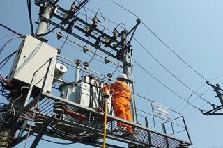 PC Bắc Giang nỗ lực cung cấp điện phục vụ thu hoạch vải thiều