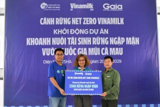 Đẩy mạnh dự án "Cánh rừng NET ZERO”, Vinamilk khoanh nuôi tái sinh 25 ha rừng ngập mặn Cà Mau