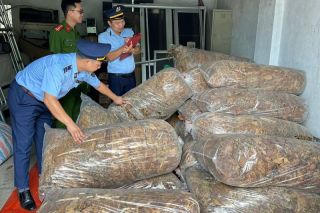 Cao Bằng: Thu giữ 550 kg nguyên liệu thuốc lá không rõ nguồn gốc xuất xứ
