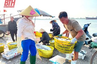 Thanh Hóa: Thúc đẩy phát triển dịch vụ hậu cần nghề cá