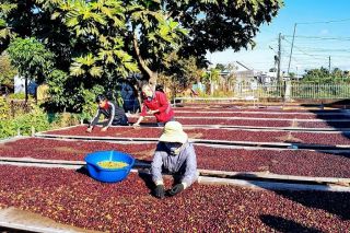 Doanh nghiệp Việt Nam với nhiều cơ hội hợp tác đầu tư tại Nam Phi