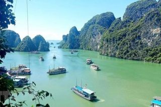 Quảng Ninh: Từ 15h ngày 19/10 tạm dừng cấp phép phương tiện thủy ra khơi