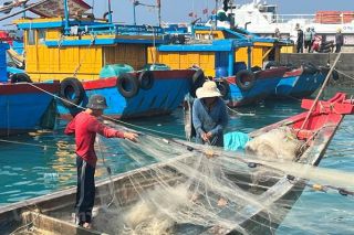 Hôm nay, Ủy ban châu Âu đến Việt Nam thanh tra việc gỡ ‘thẻ vàng’ thủy sản