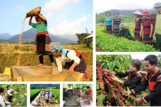 Cấp huyện được quyết những gì trong cơ chế đặc thù chương trình mục tiêu quốc gia?