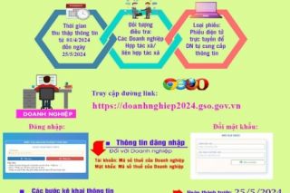 Nam Định triển khai công tác điều tra doanh nghiệp năm 2024