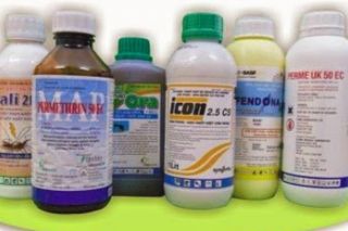 Xử lý nghiêm hành vi vi phạm trong việc sản xuất, kinh doanh, sử dụng chế phẩm diệt côn trùng, diệt khuẩn dùng trong gia dụng và y tế
