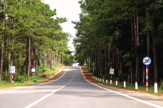 Măng Đen: “Đà Lạt thứ hai cháy phòng” dịp lễ 30/4 và 1/5