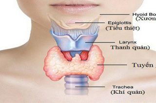 Thiếu hoặc thừa hormone tuyến giáp sẽ gây ra nhiều vấn đề cho sức khỏe