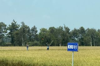 Xuất khẩu nông sản tăng gần 24%