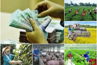 Chương trình hành động của Chính phủ nhằm nâng cao chất lượng chính sách xã hội