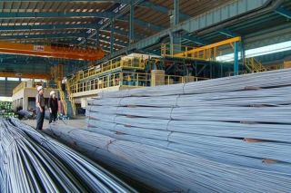 Tập đoàn Thép Tiến Lên miễn nhiệm chức Tổng giám đốc đối với bà Phạm Thị Hồng sau hơn 14 năm