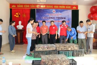 Trao hỗ trợ sinh kế cho một số hộ gia đình có hoàn cảnh khó khăn trên địa bàn quận Đồ Sơn