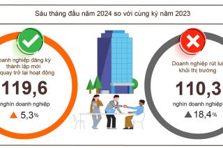 Sáu tháng đầu năm, cả nước có gần 80,5 nghìn doanh nghiệp đăng ký thành lập mới