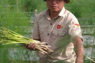 Khi người nông dân Thái Bình sở hữu nông trại tiền tỷ từ canh tác nông nghiệp hữu cơ
