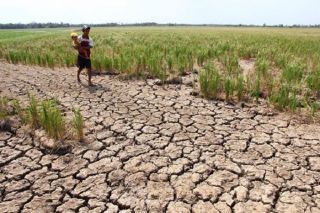 Những đóng góp của Việt Nam với vai trò 'chủ bút' Nghị quyết về biến đổi khí hậu và quyền con người