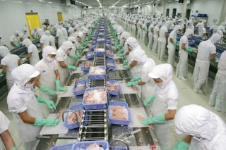 Vĩnh Hoàn (VHC) tăng trưởng hơn 23% trong 6 tháng đầu năm