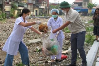 Hải Phòng: Ghi nhận 140 ổ dịch sốt xuất huyết mới