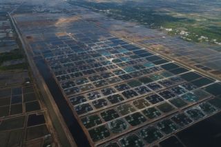 Tập đoàn PAN ghi nhận lãi 201 tỷ đồng trong quý II/2024