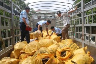 Thu giữ hơn 11 tấn mỡ bò các loại không rõ nguồn gốc, xuất xứ