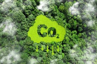 Dự kiến, năm 2028, sàn giao dịch tín chỉ carbon tại Việt Nam được đưa vào vận hành