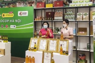 Hà Nội tổ chức giới thiệu sản phẩm OCOP đến từ 38 tỉnh thành trên cả nước
