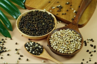 Giá tiêu hôm nay 25/8: Cao nhất 144,000 đồng/kg