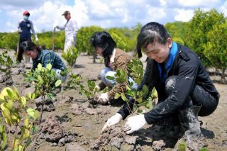 ADB làm sâu sắc hơn trọng tâm chiến lược, tăng cường hỗ trợ các vấn đề ưu tiên
