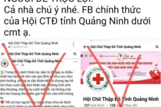Quảng Ninh: Xử lý nghiêm đưa thông tin, bình luận không đúng về công tác phòng, chống, khắc phục bão số 3