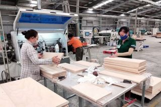 Gỗ Trường Thành bị phong toả 3 tỷ đồng tại ngân hàng liên quan tới tranh chấp hợp đồng dân sự