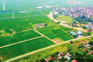 Thủ tướng phê bình các tỉnh, thành phố chậm ban hành các văn bản hướng dẫn Luật Đất đai