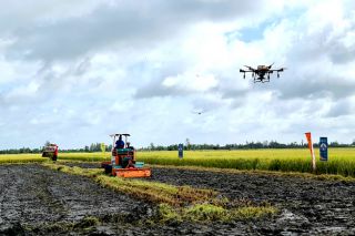 Đồng Tháp triển khai chương trình cho vay liên kết sản xuất, chế biến, tiêu thụ sản phẩm lúa gạo