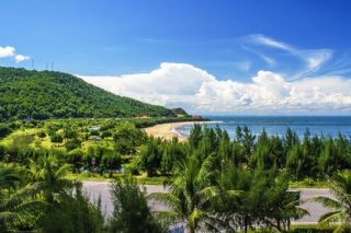 Nghệ An chuyển đổi hơn 25 ha đất rừng để triển khai 4 dự án trọng điểm