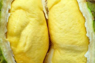 Giá sầu riêng hôm nay 24/11: Musang King và Black Thorn ở mức cao