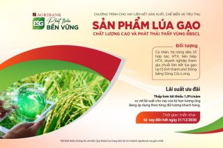 Agribank cho vay liên kết sản xuất, chế biến và tiêu thụ sản phẩm lúa gạo chất lượng cao phát thải thấp vùng ĐBSCL