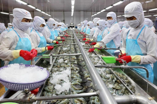 Tổng kim ngạch xuất, nhập khẩu hàng hóa tháng 11 giảm 4,1% so với tháng trước