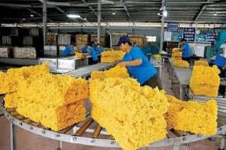 11 tháng năm 2024, xuất khẩu cao su sang Trung Quốc đạt trên 1,25 triệu tấn
