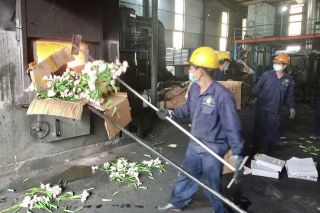 Bình Định tiêu hủy tài sản là tang vật bị tịch thu